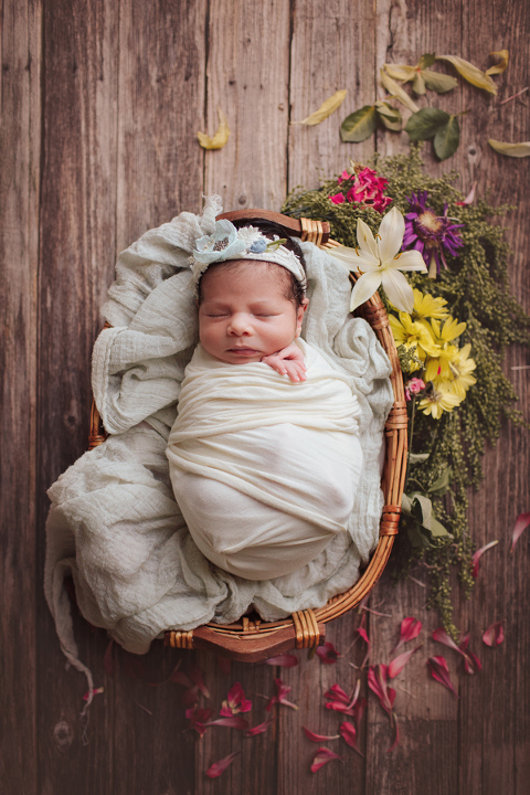 Houston Newborn Photographers