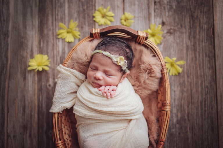 Houston Newborn Photographers