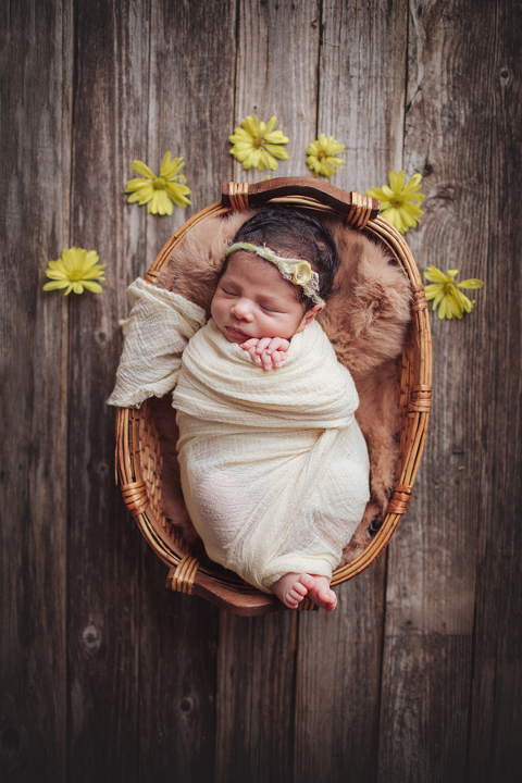 Houston Newborn Photographers