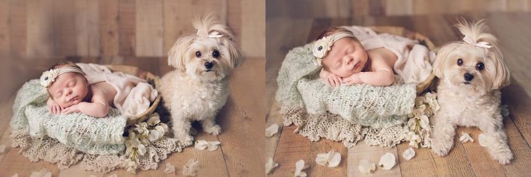 richmond tx newborn photography