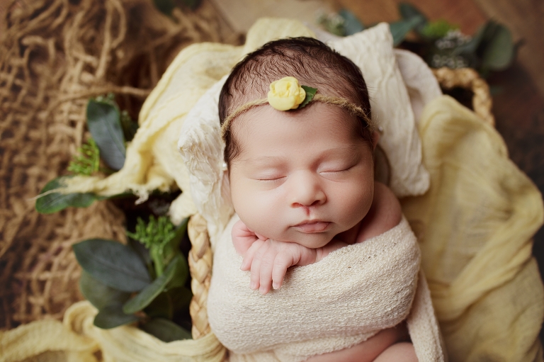 Houston newborn photographer prices