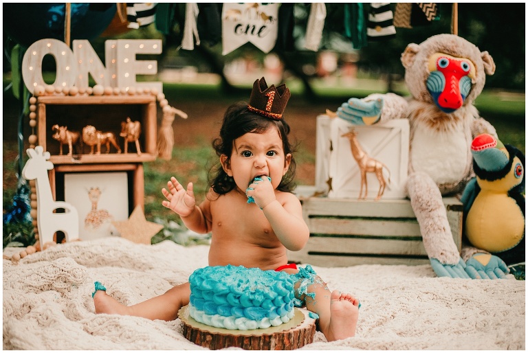 Colorful Outdoor Wild One Cake Smash photographed in houston texas by pretty little prints photography.